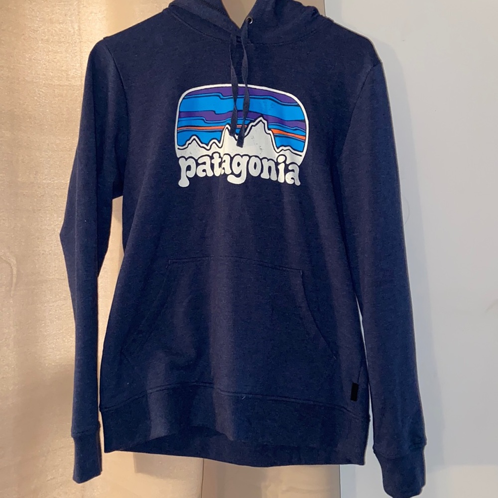 Patagonia hoodie